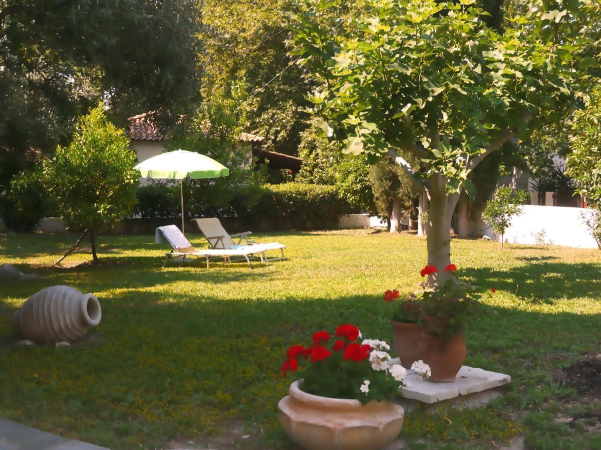 Steinturm Mit Dach-Terrasse Zwischen Fluss, Meer Und Gebirge- Spiti Pirgos Παραλία Σεργούλας Εξωτερικό φωτογραφία
