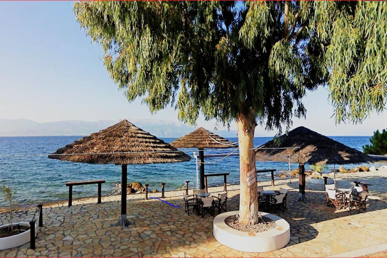 Steinturm Mit Dach-Terrasse Zwischen Fluss, Meer Und Gebirge- Spiti Pirgos Παραλία Σεργούλας Εξωτερικό φωτογραφία